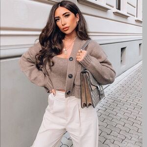 NWT Zara Blogger Fav Caramel Brown Knit Crop Top